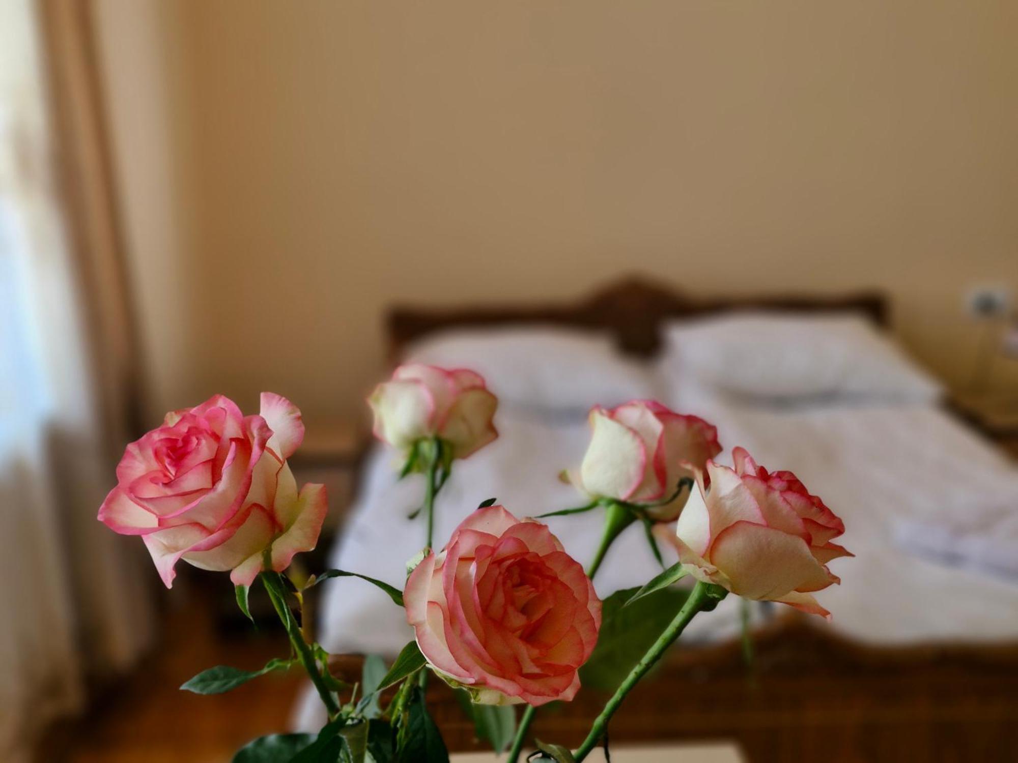Guest House David'S B&B ギュムリ エクステリア 写真